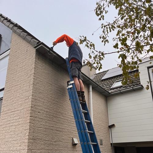 Reinigen elementen en installeren van vogelwering woning Heerhugowaard September 2024